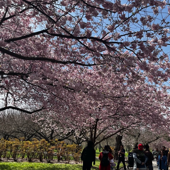 Meet your Posher, Melanie - Picture 1 of 1